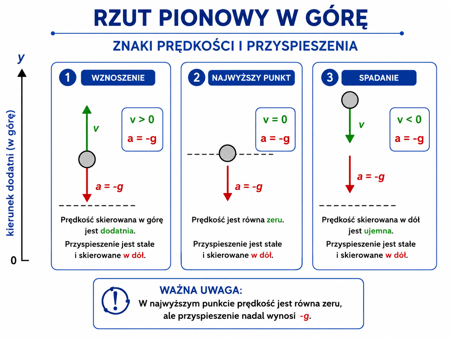 Wznoszenie, najwyższy punkt i spadanie z zaznaczonymi znakami prędkości oraz przyspieszenia