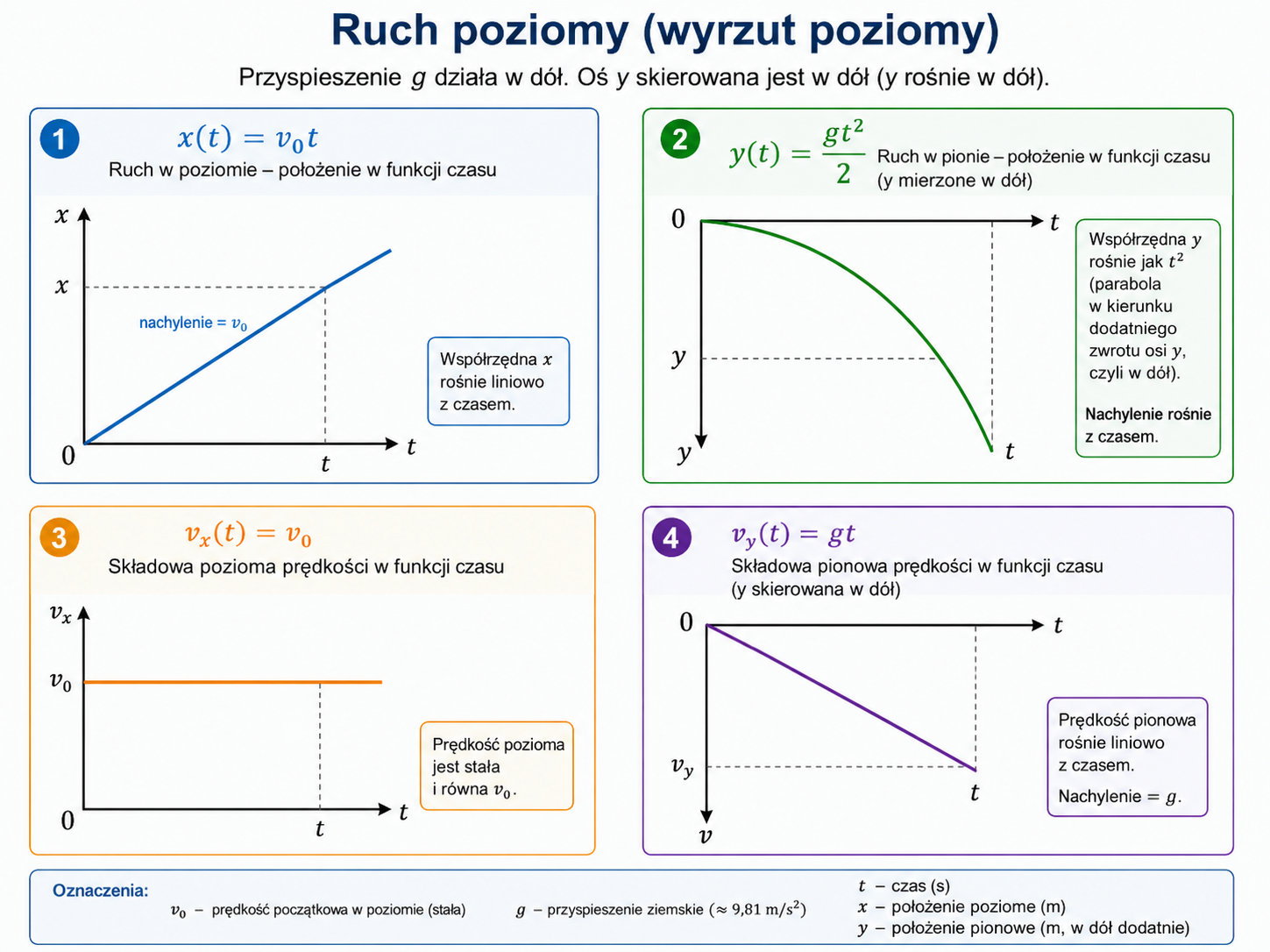 Wykresy położenia poziomego i pionowego oraz składowych prędkości w rzucie poziomym